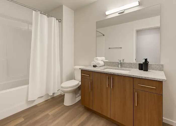 Apartment Boulevard Modern 1br Asu Pool Gym 09